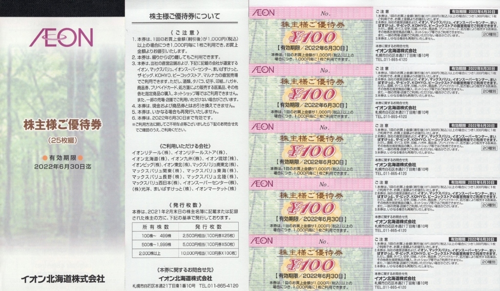 イオン株主優待券１００円券１０枚１０００円分２０２４年６月３０日