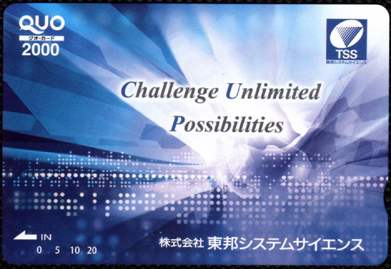 【6／8お手続】tis様☘完成品☘専用ページ AKRAPOVIC（アクラポビッチ） オプション リンクパイプ ステンレス ZX