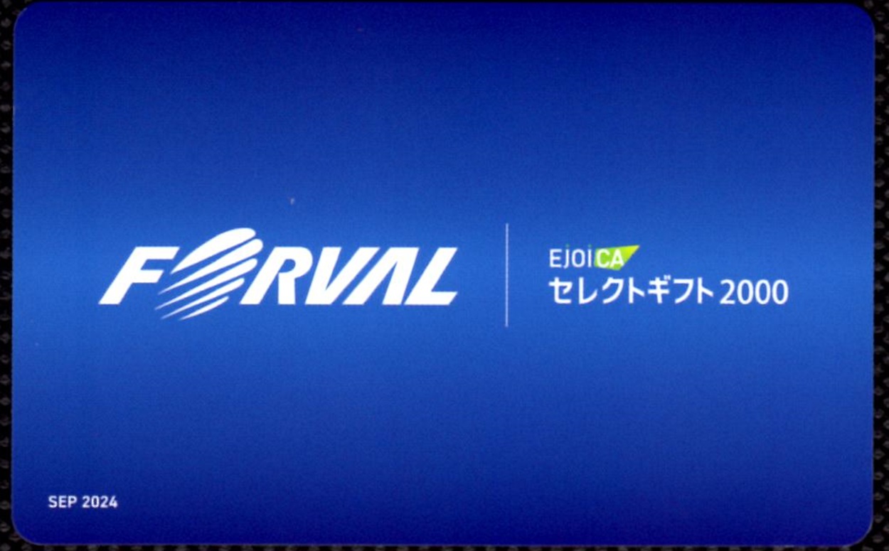 ややや様 フォロー割引品 集合ポスト 郵便受け ポスト 横向き 前入後出 屋内仕様 D-ALL KS