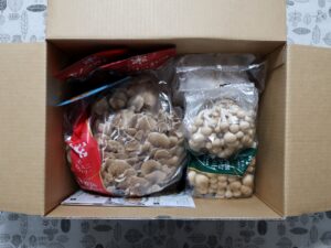 雪国まいたけ(1375) 株主優待