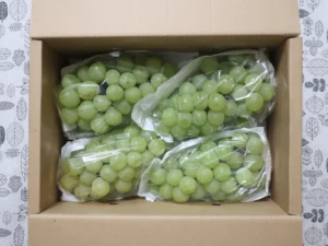 2025年10月第3週の優待ニュース｜光フードサービスの食事優待など今週