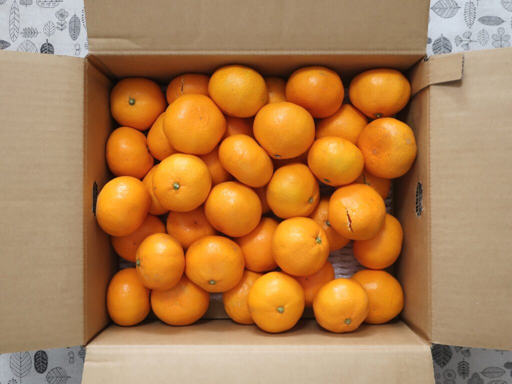 いよぎんホールディングス(5830) 株主優待