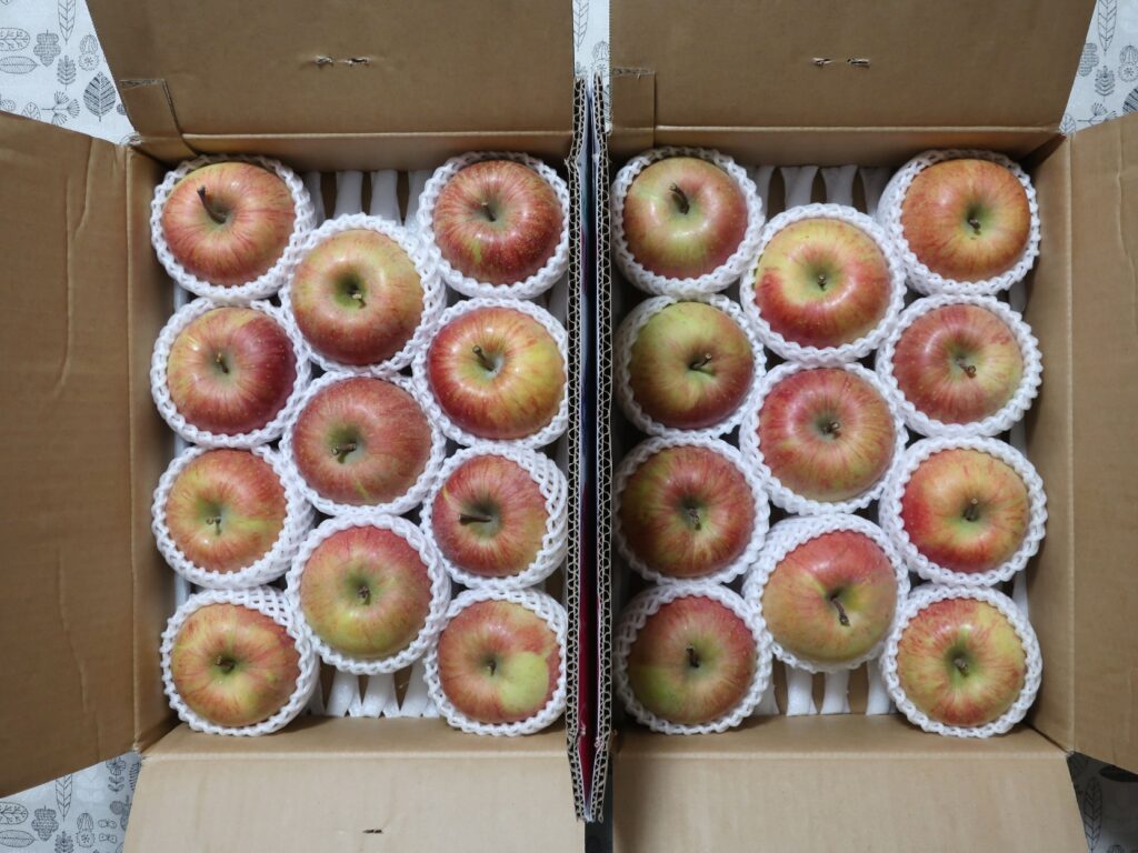 オンワードホールディングス(8016) 株主優待