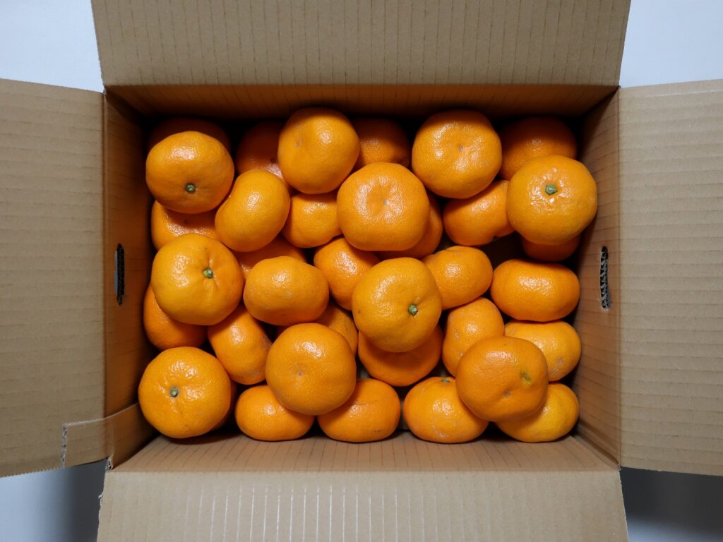 エフ・シー・シー(7296) 株主優待