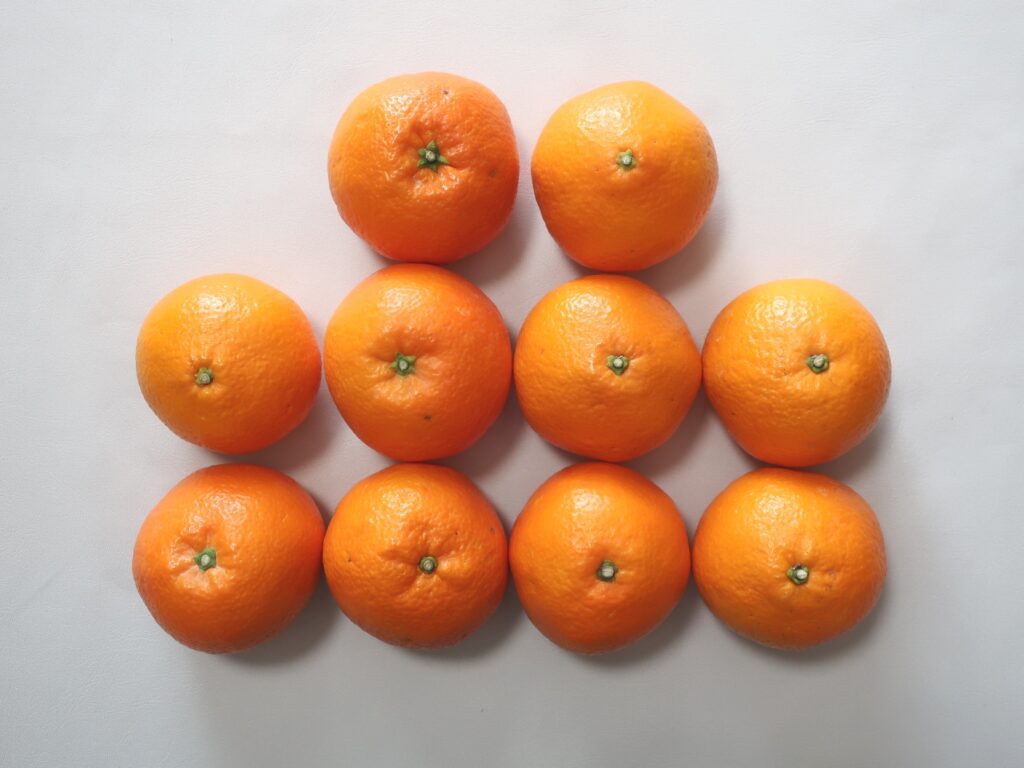 アイコム(6820) 株主優待