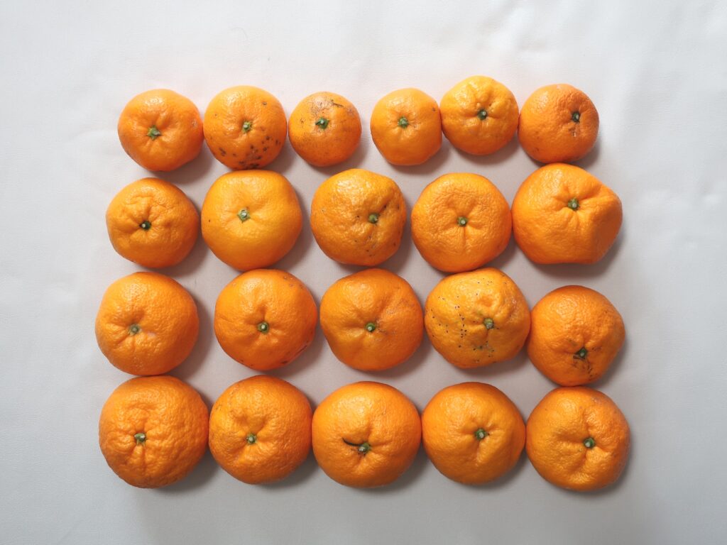 クラダシ(5884) 株主優待