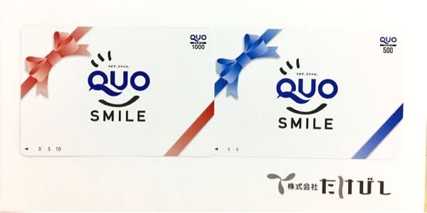 たけびし(7510) 株主優待