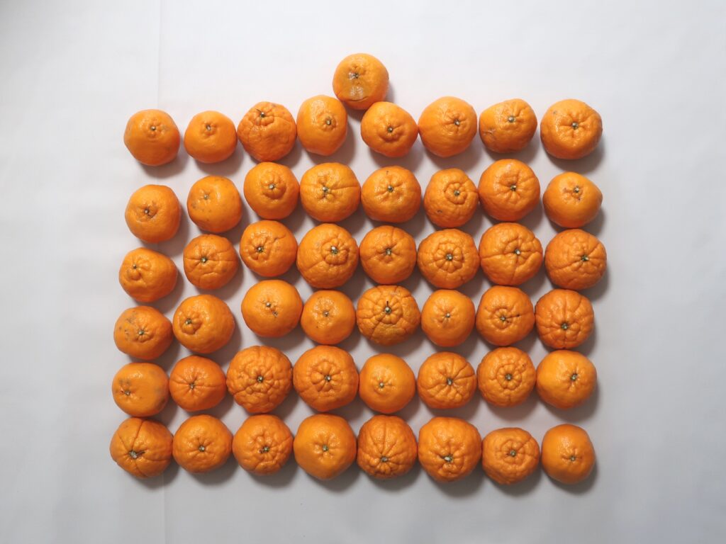 クラダシ(5884) 株主優待