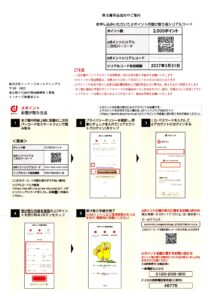 インテージホールディングス(4326) 株主優待